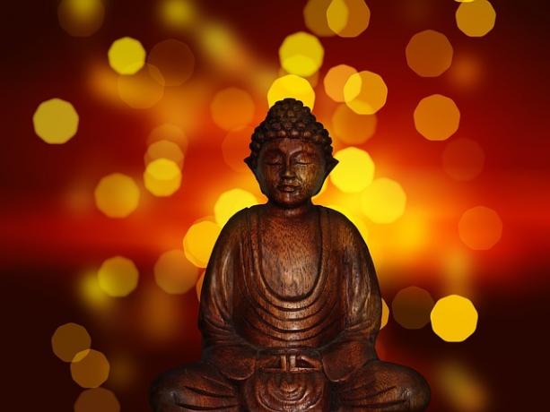 Mreža oživljanja budizma hitro postaja priljubljena pri okrevanju odvisnikov. Konec koncev ima budizem vgrajen okvir za oživitev odvisnosti. Izvedi več.
