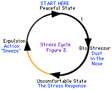 Nekateri stresni cikli se lažje premikajo kot drugi.