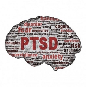 Pri ljudeh, ki razvijejo PTSP, travma drugače vpliva na možgane. Toda ne skrbite, okrevanje se zgodi. Naučite se, kako delujejo možgani prizadetih s PTSD, ko se srečujejo s travmo. 