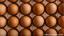 Sladkorna bolezen in depresija: piščanec in jajce
