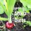 ADHD in diete za odrasle